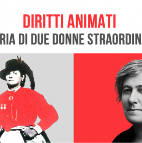 Schermata 2025 06 03 alle 11.37.32