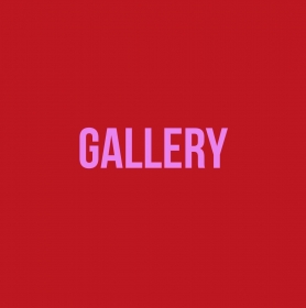 gallery Doc
