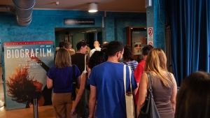 Sala Mastroianni, Cinema Lumière