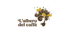 albero del caffe 3