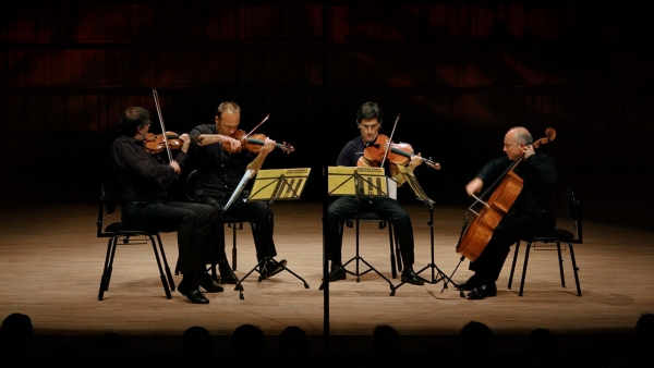 Forest Symphony