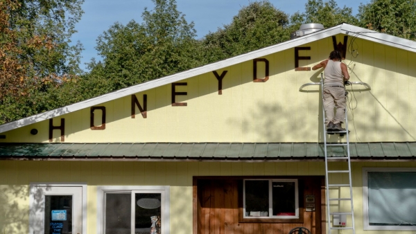 HONEYDEW3