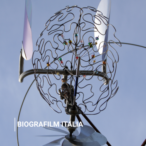 Biografilm Italia Biografilm Italia