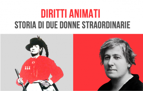 Schermata 2025 06 03 alle 11.37.32