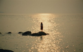 Che verso fa il pesce spada BIOGRAFILM ITALIA